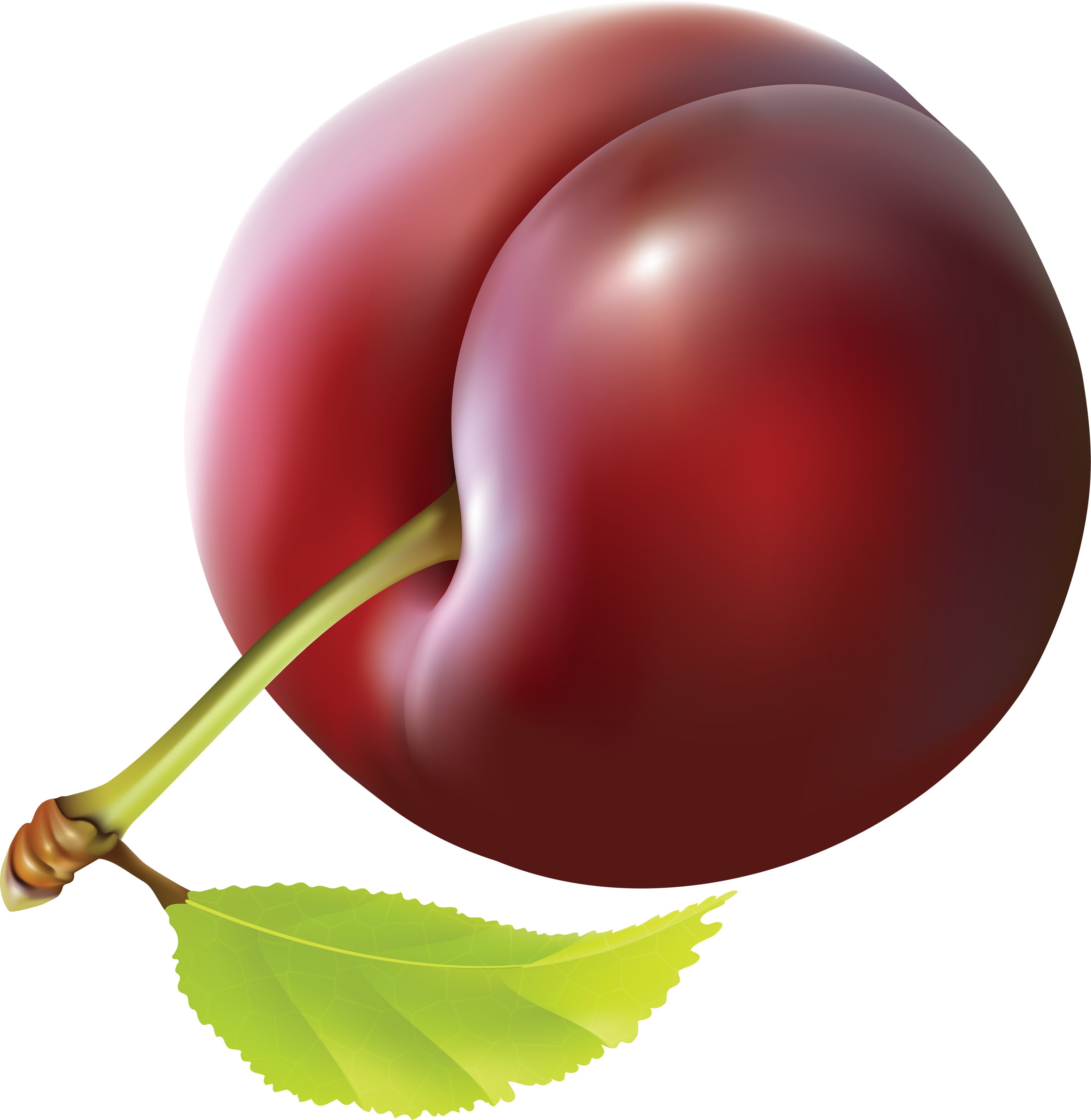 Ripe Plum Illustration.png