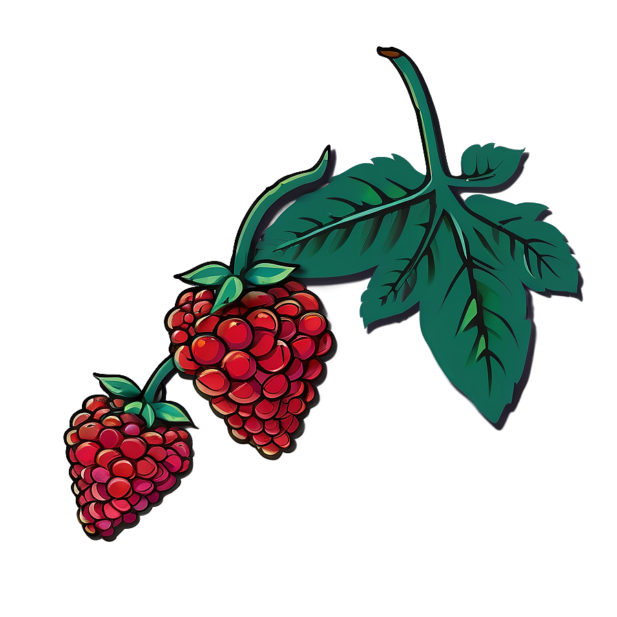 Ripe Raspberries Illustration