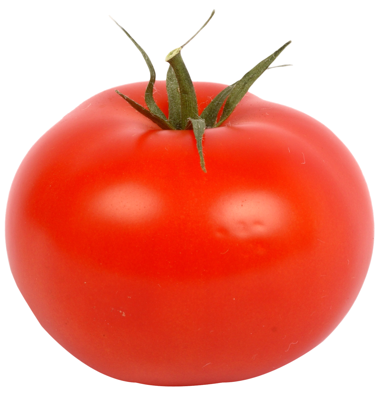 Ripe Red Tomato Single