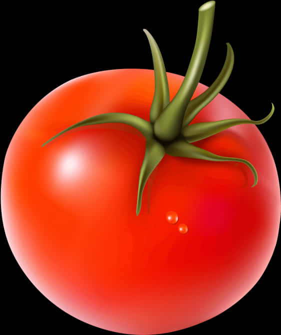 Ripe Tomato Illustration