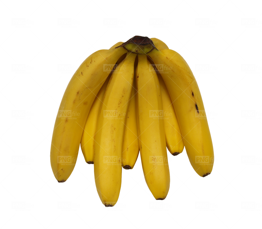 Ripe Yellow Plantainson Blue Background.png