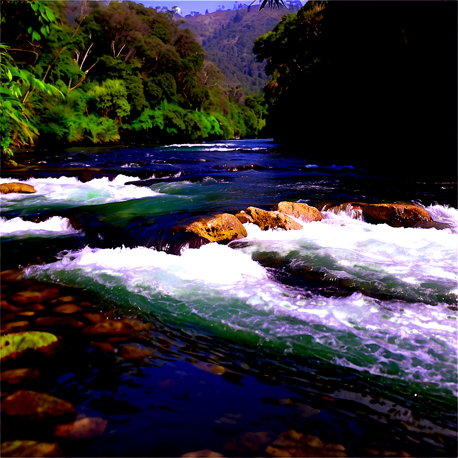 River Ecology Study Trip Png Dni