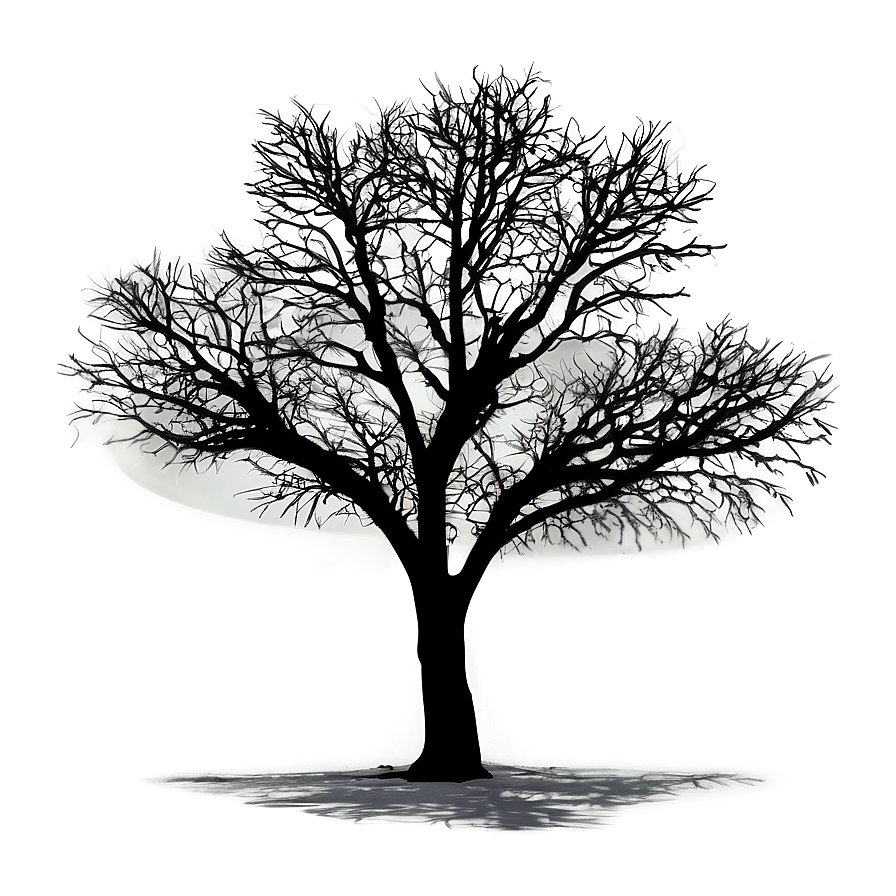 Roadside Tree Silhouette Png Awm