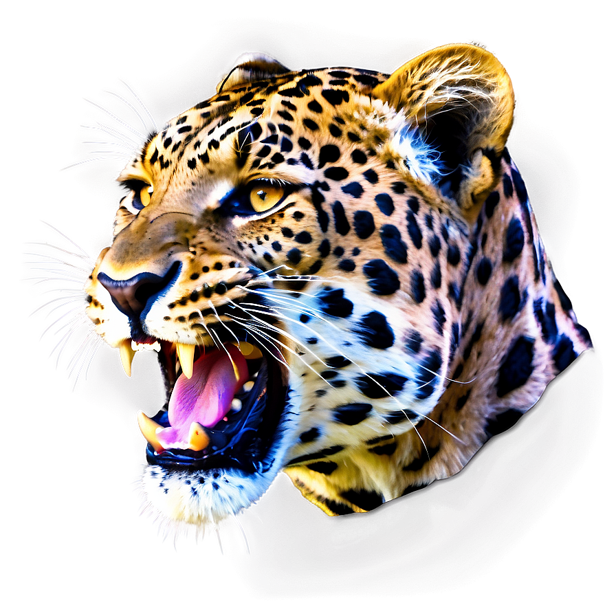 Roaring Leopard Face Png 71