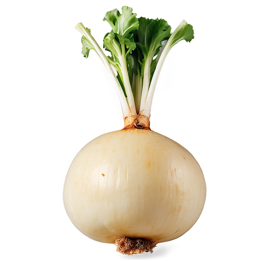 Roasted Turnip Png 3