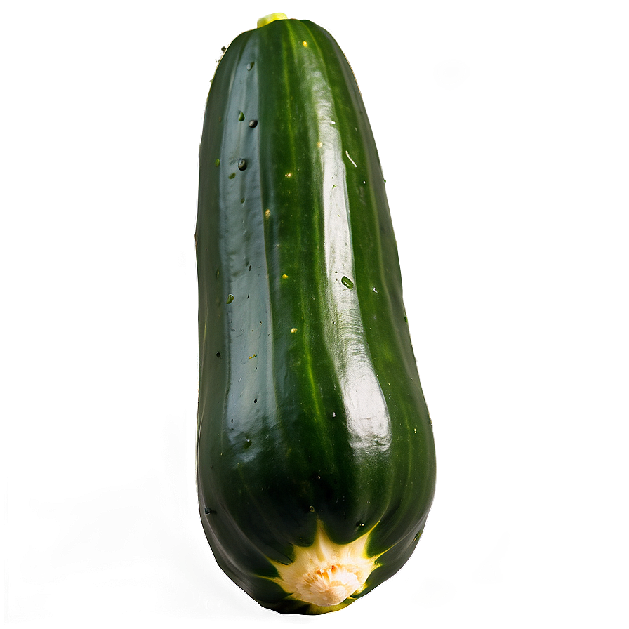 Roasted Zucchini Png Hah