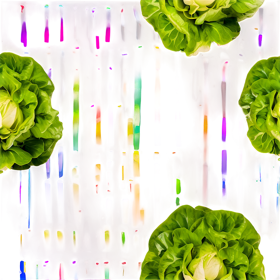 Robust Lettuce Png Bxv48