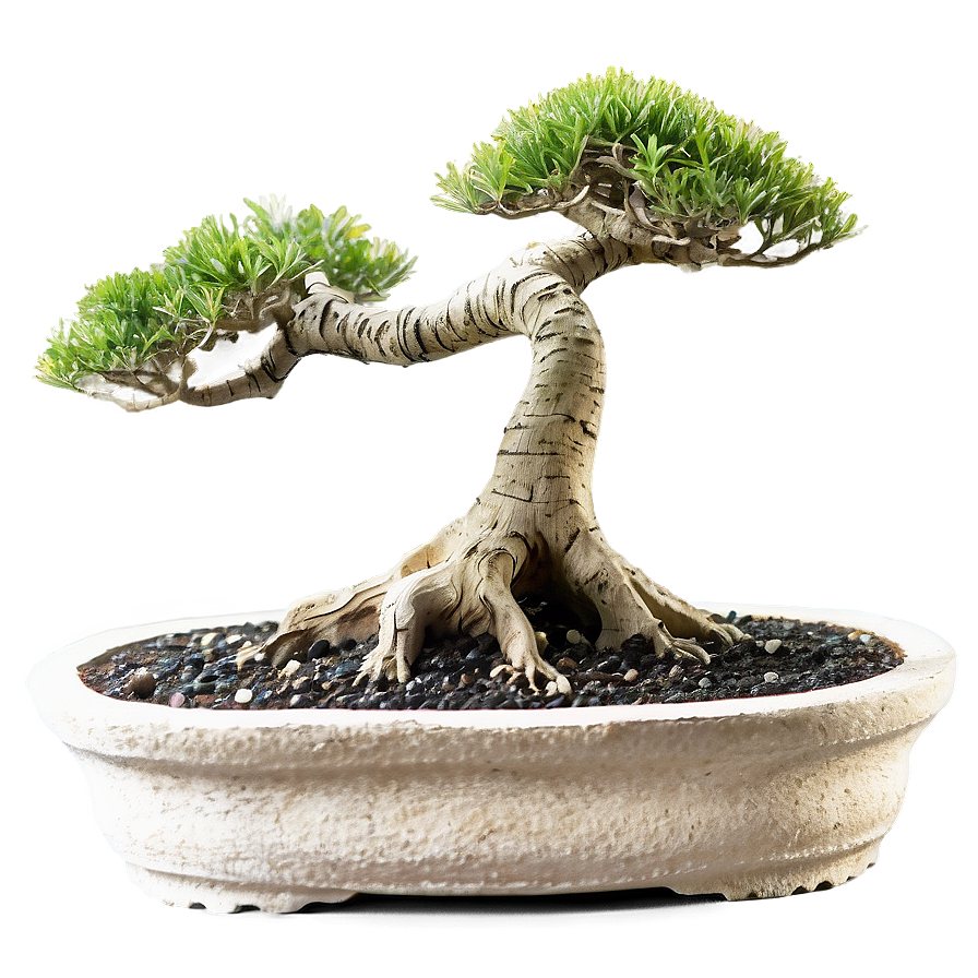 Rock Bonsai Png Lwo