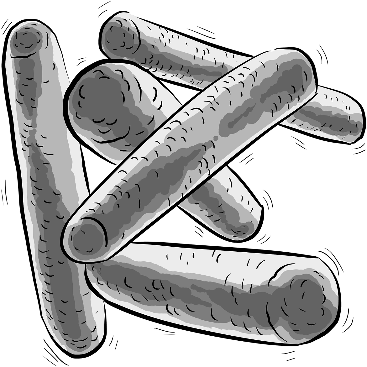 Rod Shaped Bacteria Illustration