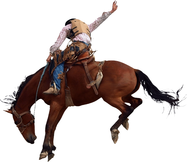 Rodeo Riderin Action.png