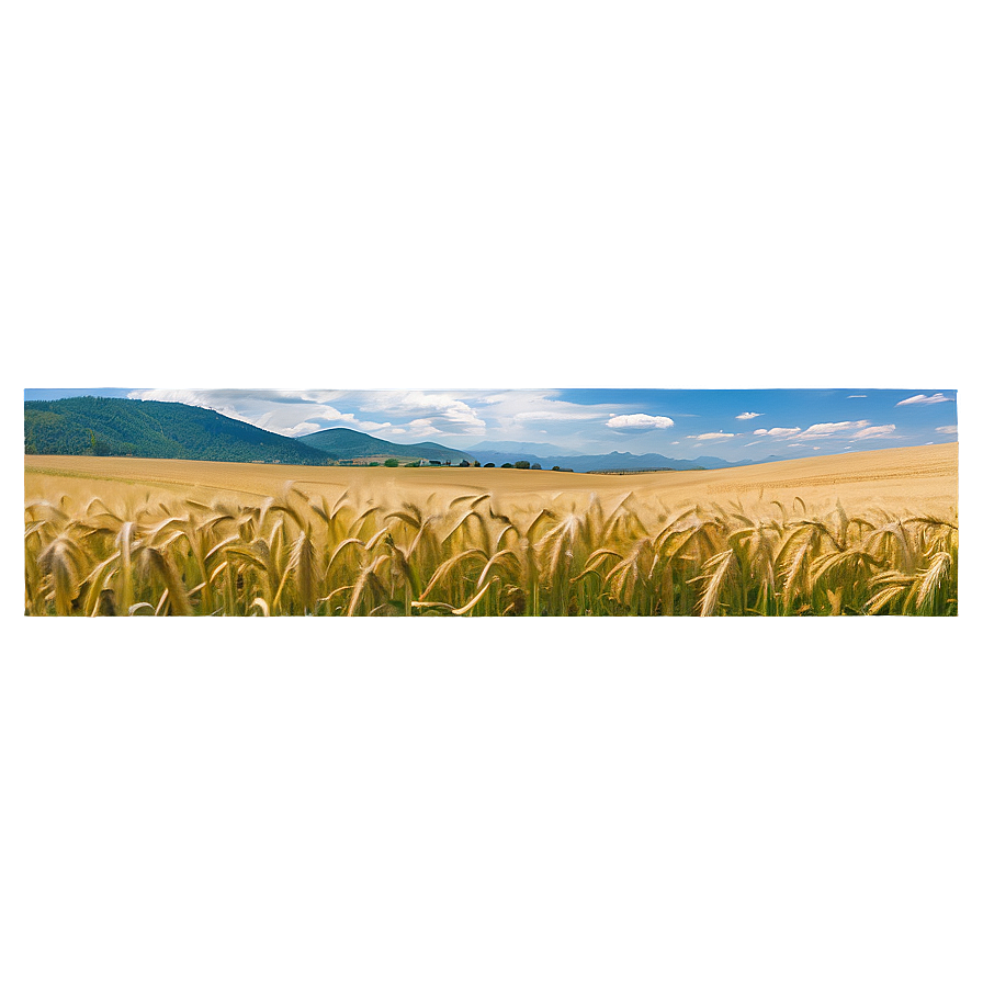 Rolling Hills Wheat Field Png 39