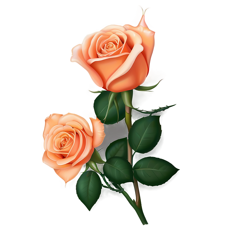 Romantic Orange Rose Png 51