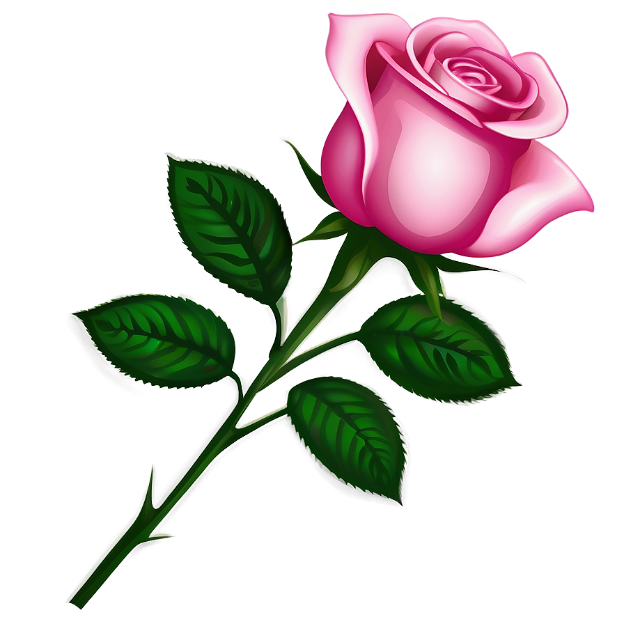 Romantic Rose Vector Drawing Png 06292024