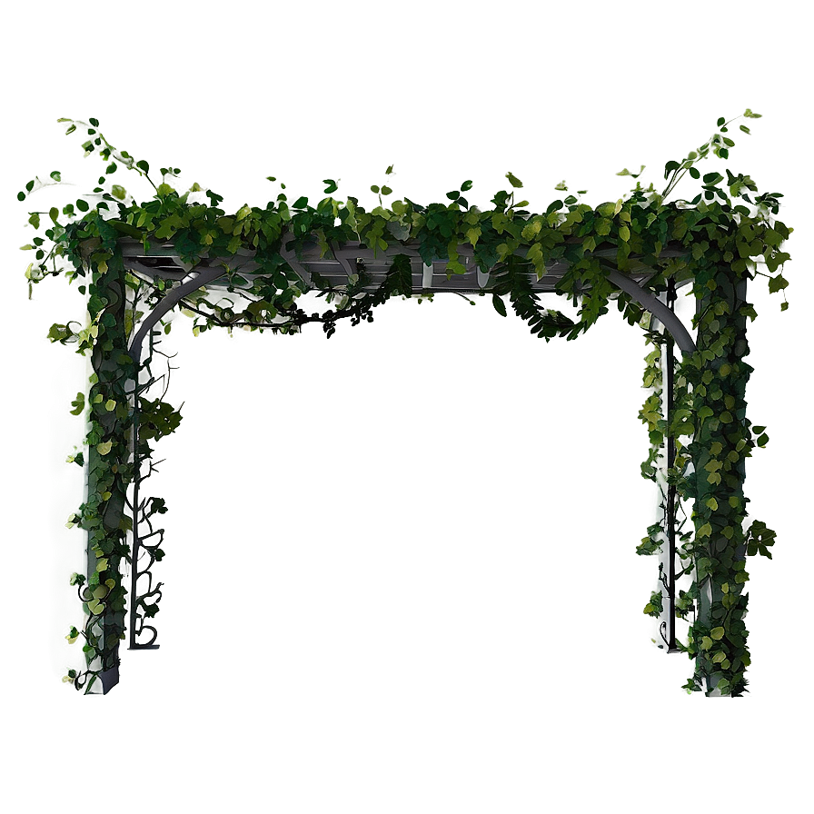 Romantic Vine Canopy Png 05042024