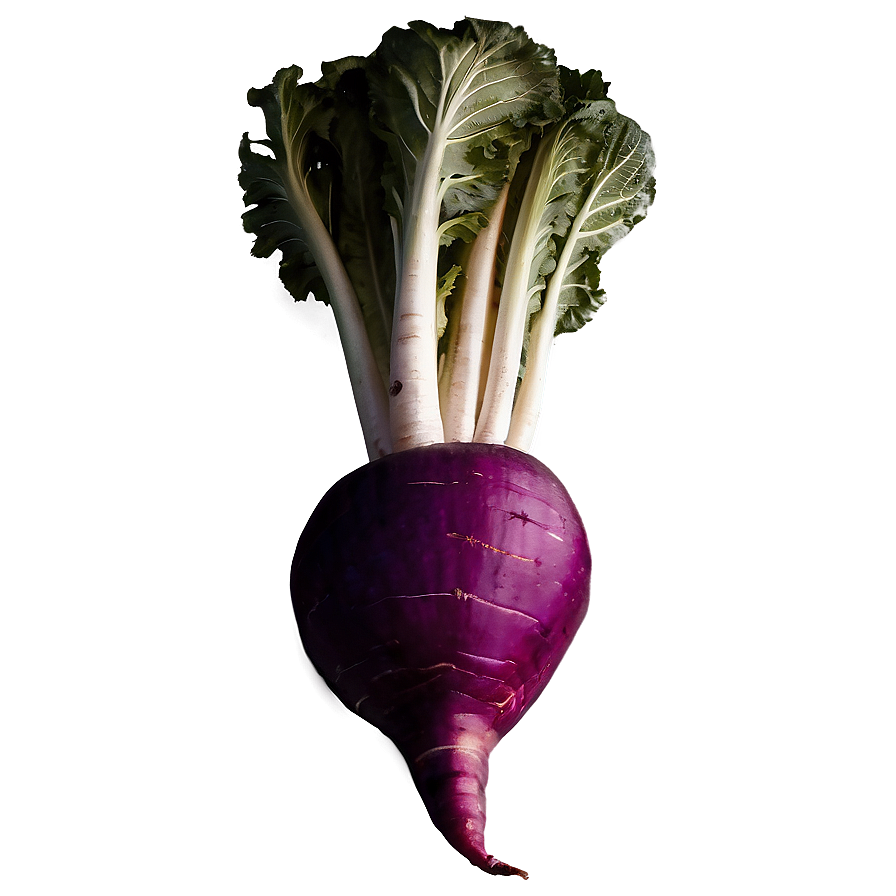 Root Vegetables Set Png Dmn84