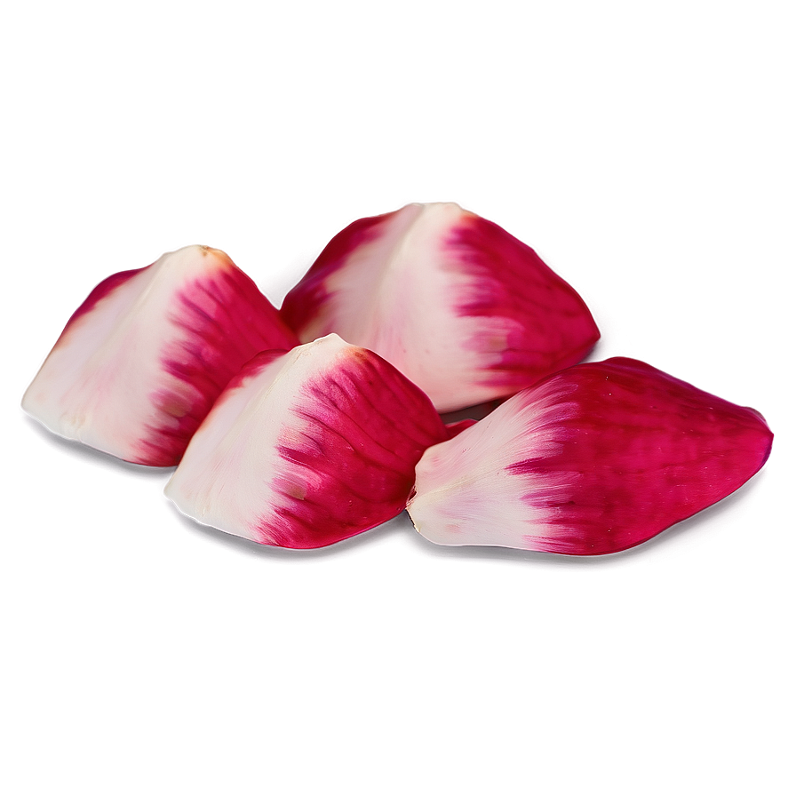 Rose Petals Close Up Png Vjl57