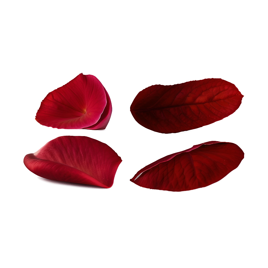 Rose Petals Decoration Png Cov