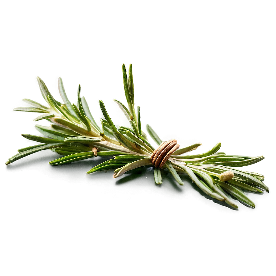 Rosemary Aroma Therapy Png Vyy