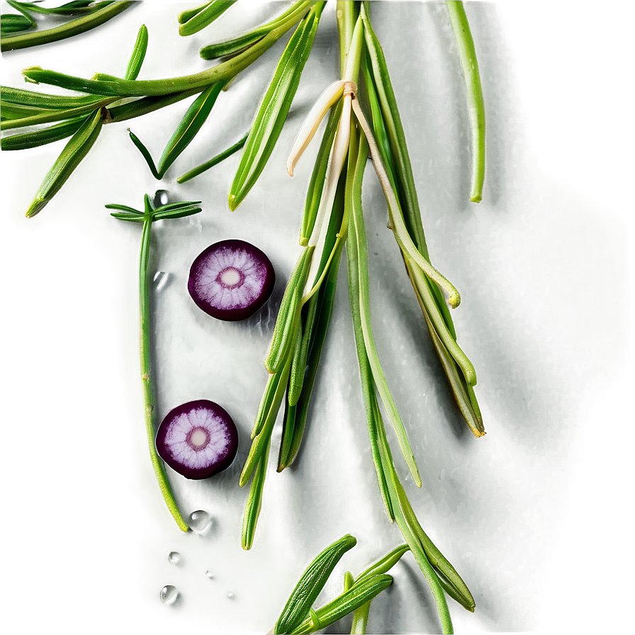 Rosemary Culinary Use Png 25