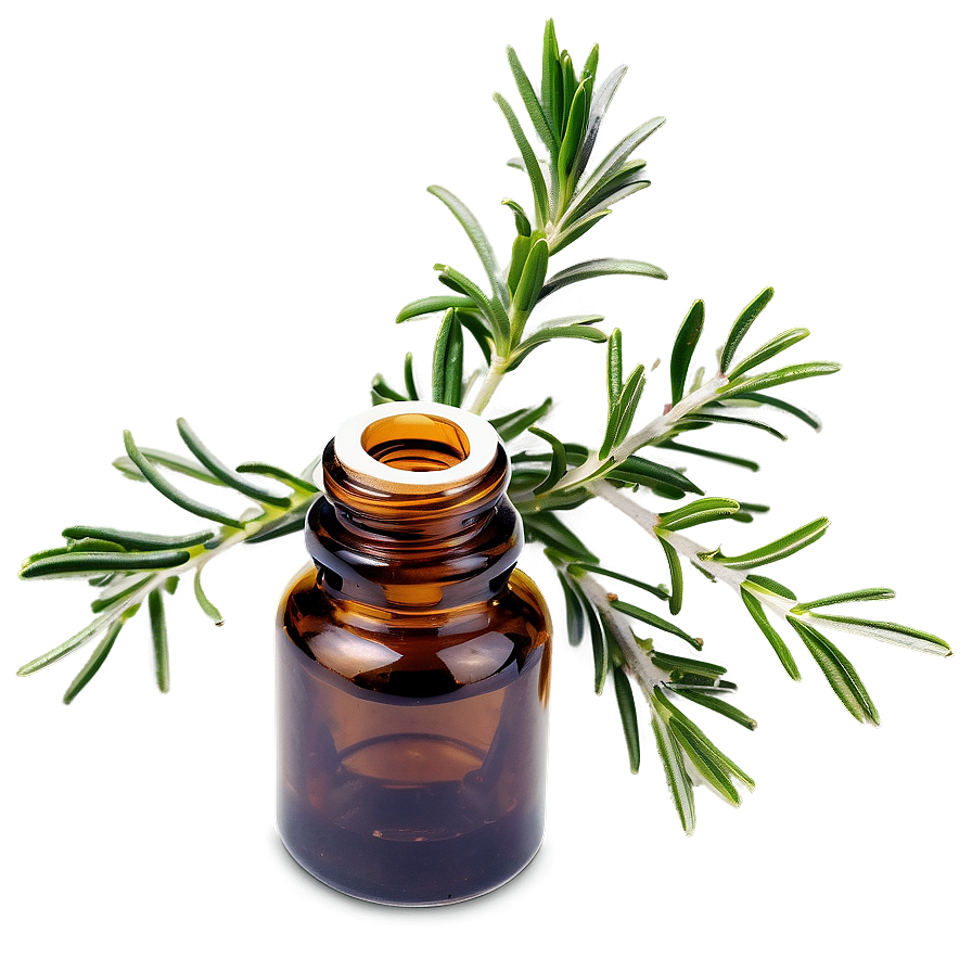 Rosemary Essential Oil Png 06292024