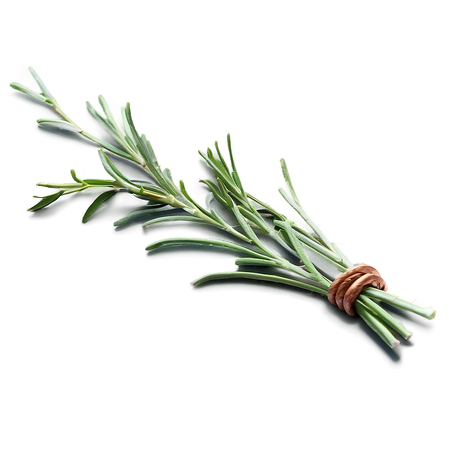 Rosemary Harvest Png Hnb