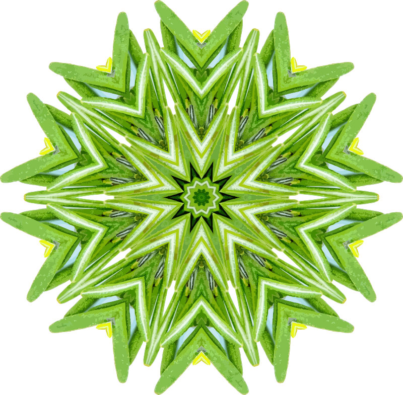 Rosemary Kaleidoscope Pattern