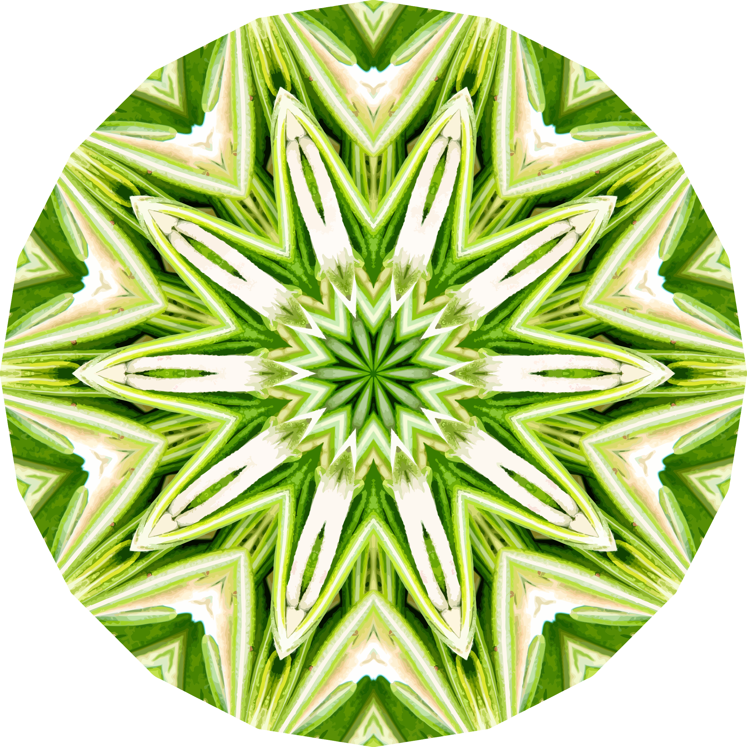 Rosemary Kaleidoscope Pattern