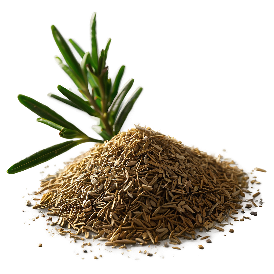 Rosemary Seasoning Heap Png Xkp37