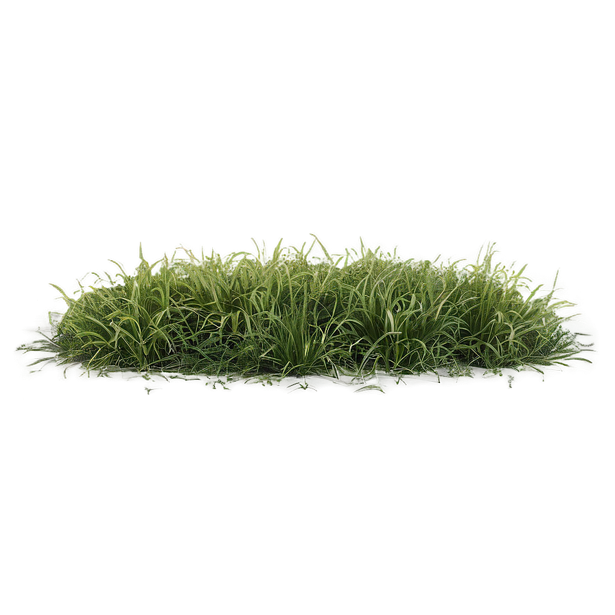 Rough Grass Patch Png 06212024