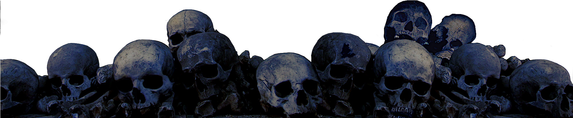 Row_of_ Skulls_ Banner