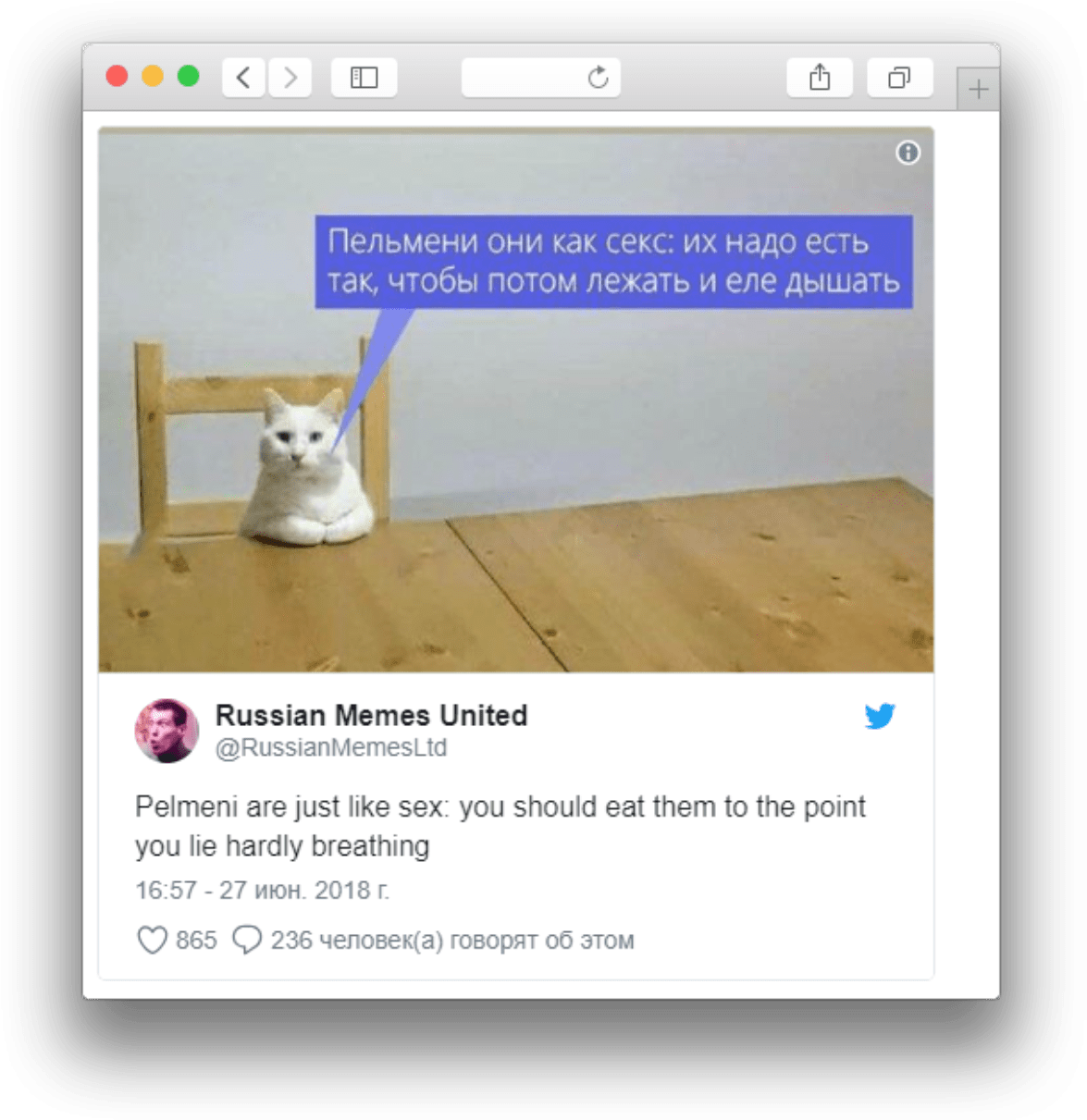 Russian Cat Meme Pelmeni Comparison