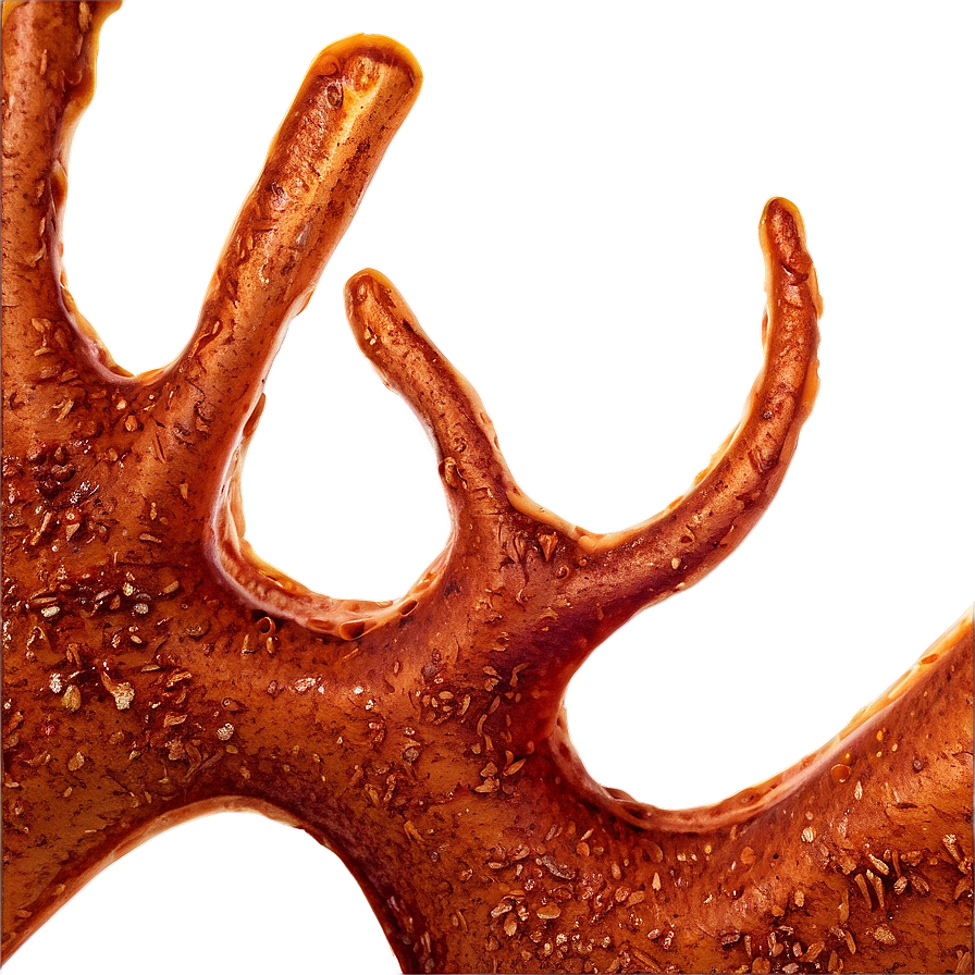 Rust Fungus Png 67