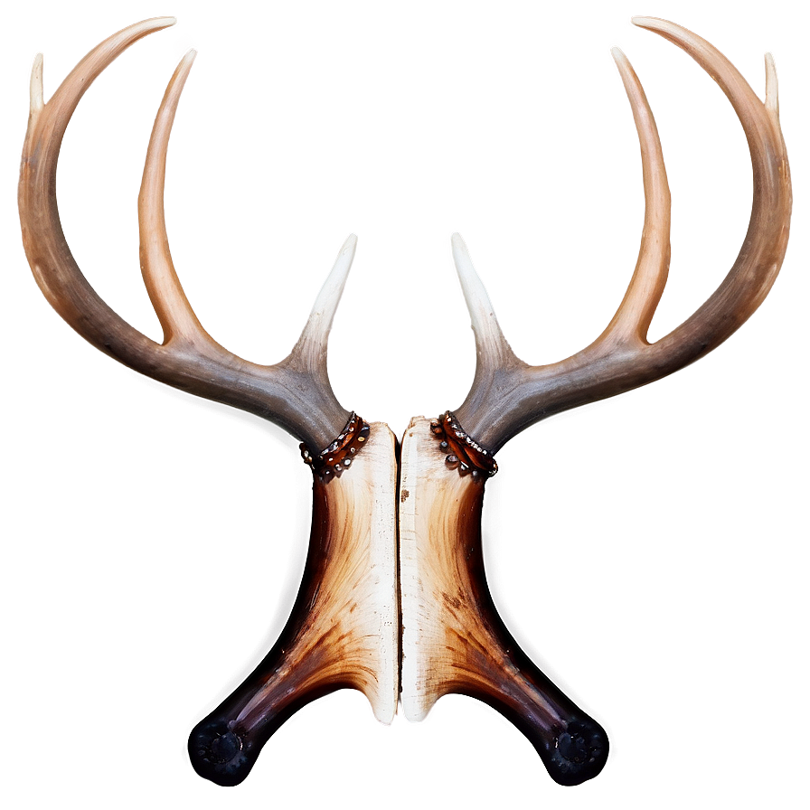 Rustic Antler Design Png Xmt