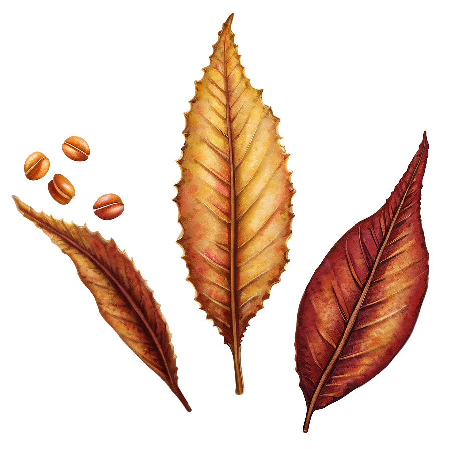 Rustic Autumn Leaf Png 06202024