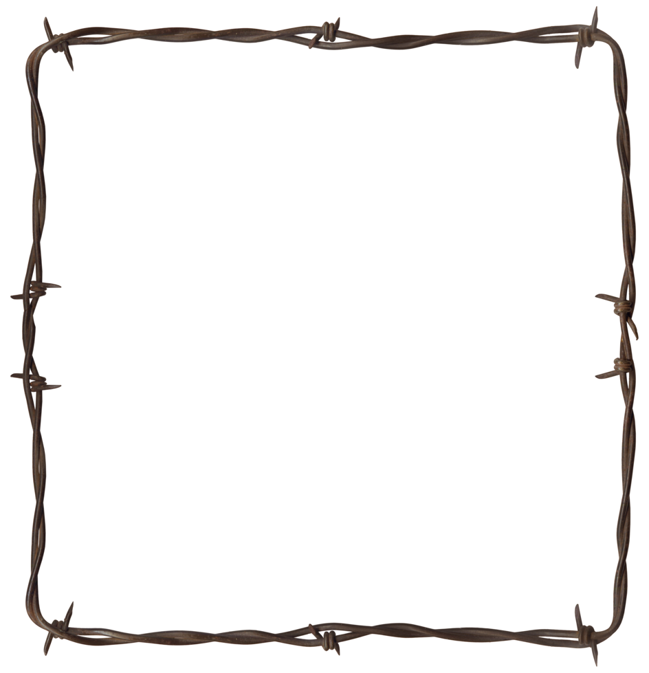 Rustic Barbwire Frame