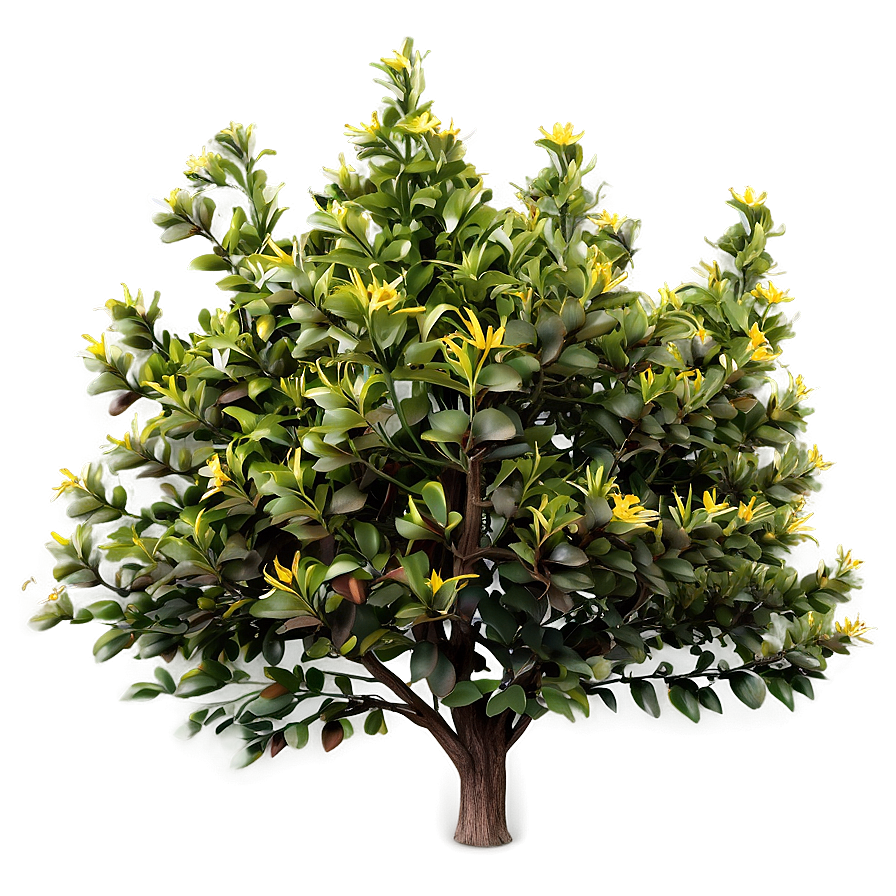 Rustic Bush Png 41