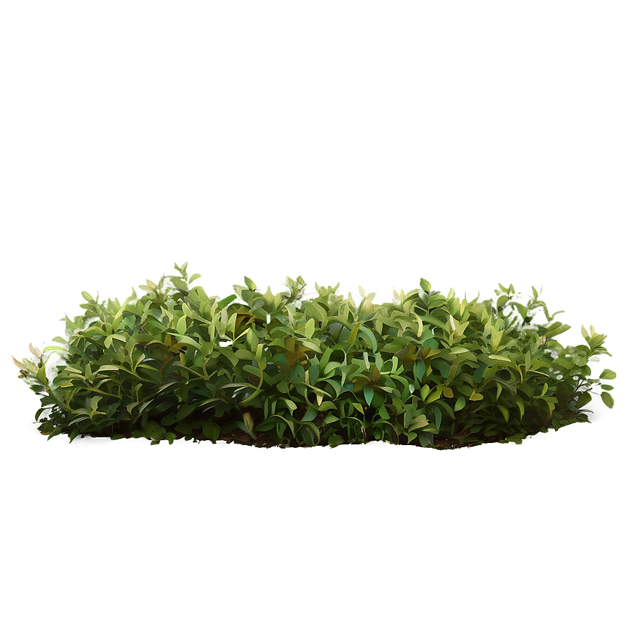 Rustic Bush Png 76