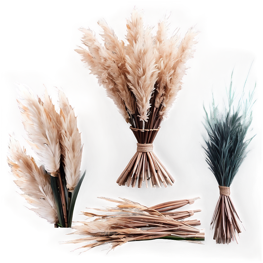 Rustic Pampas Setup Png 06272024