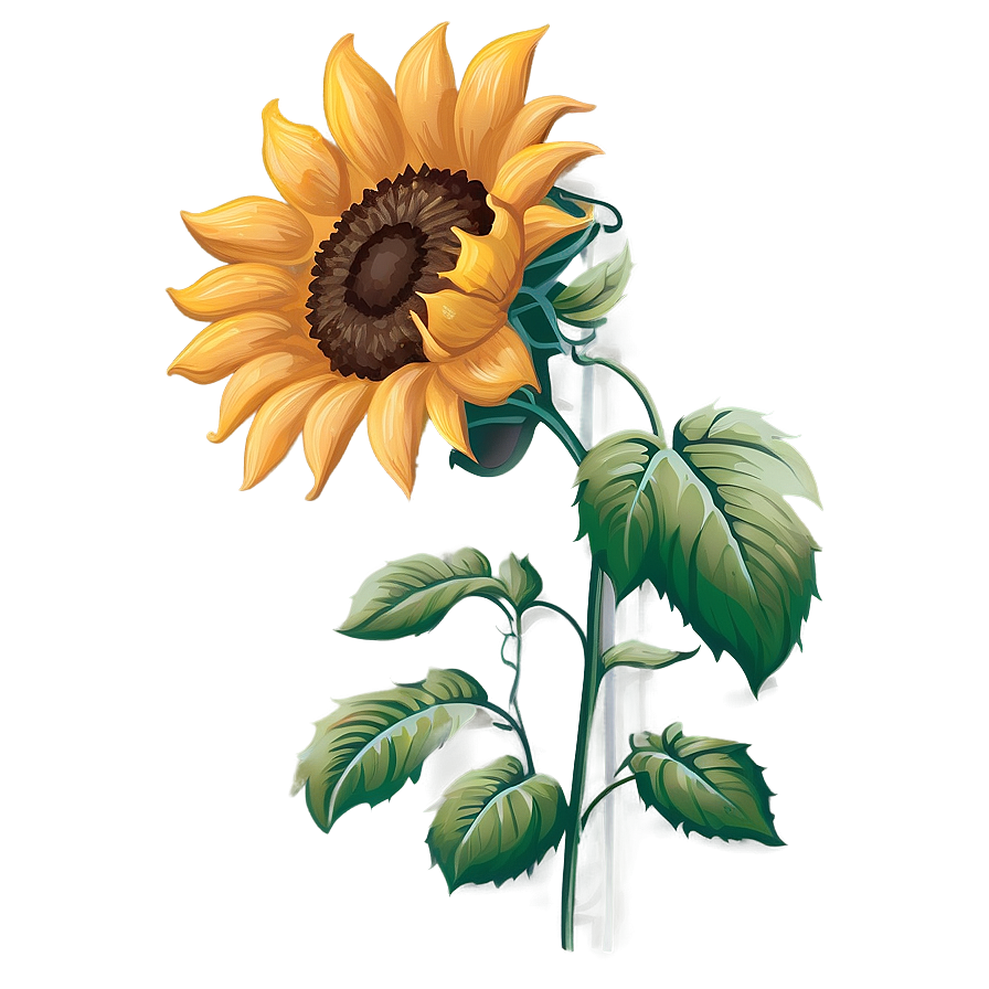 Rustic Sunflower Transparent Png 05262024