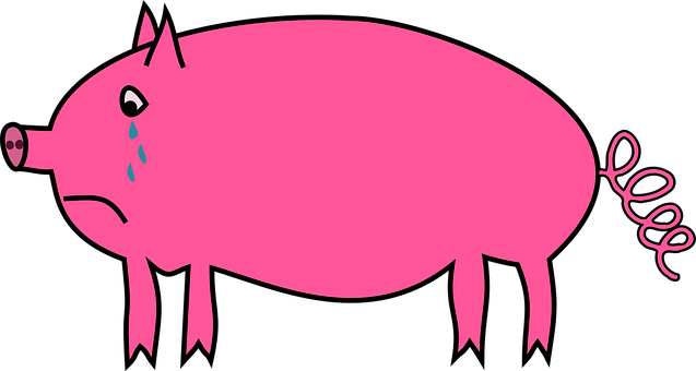 Sad Pink Cartoon Pig