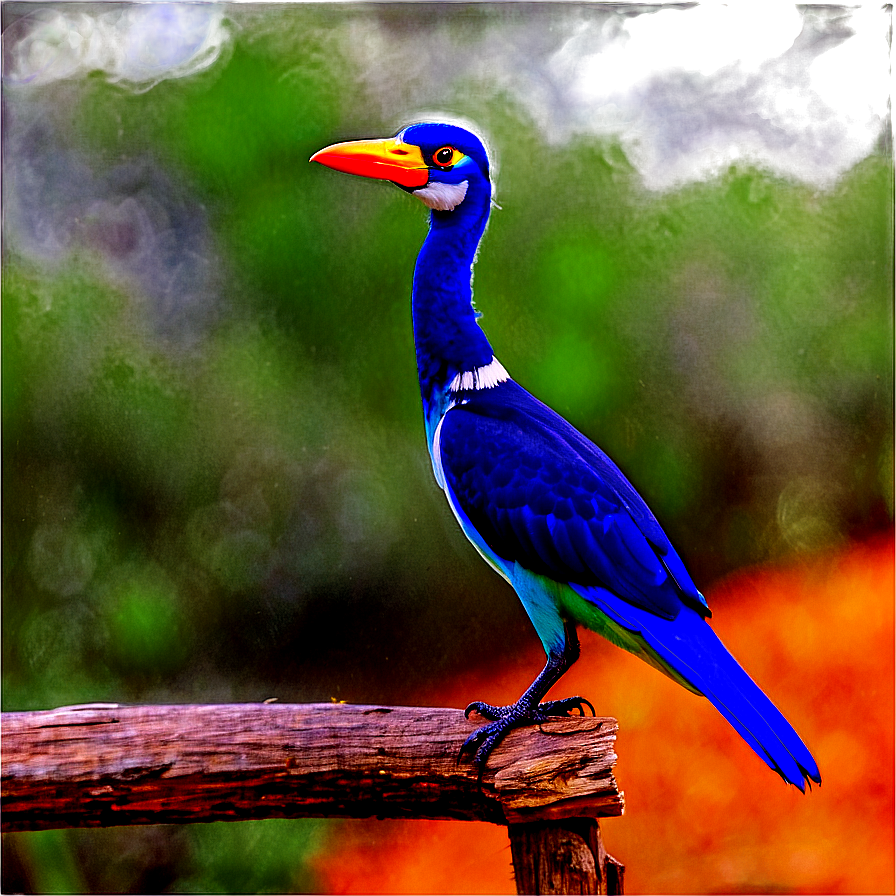 Safari Bird Watching Png 33