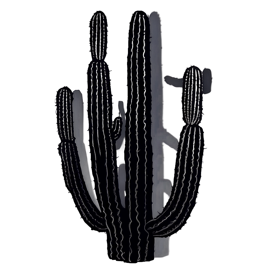 Saguaro Cactus Silhouette Png Wwm