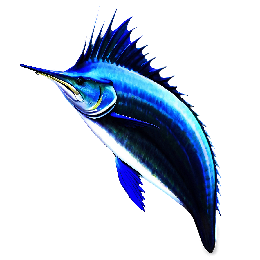 Sailfish In Ocean Png 06262024