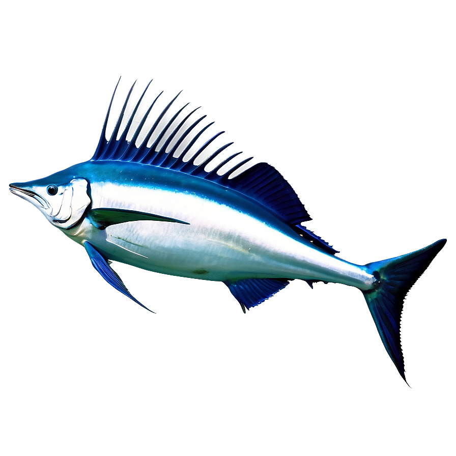 Sailfish In Water Png Uxj