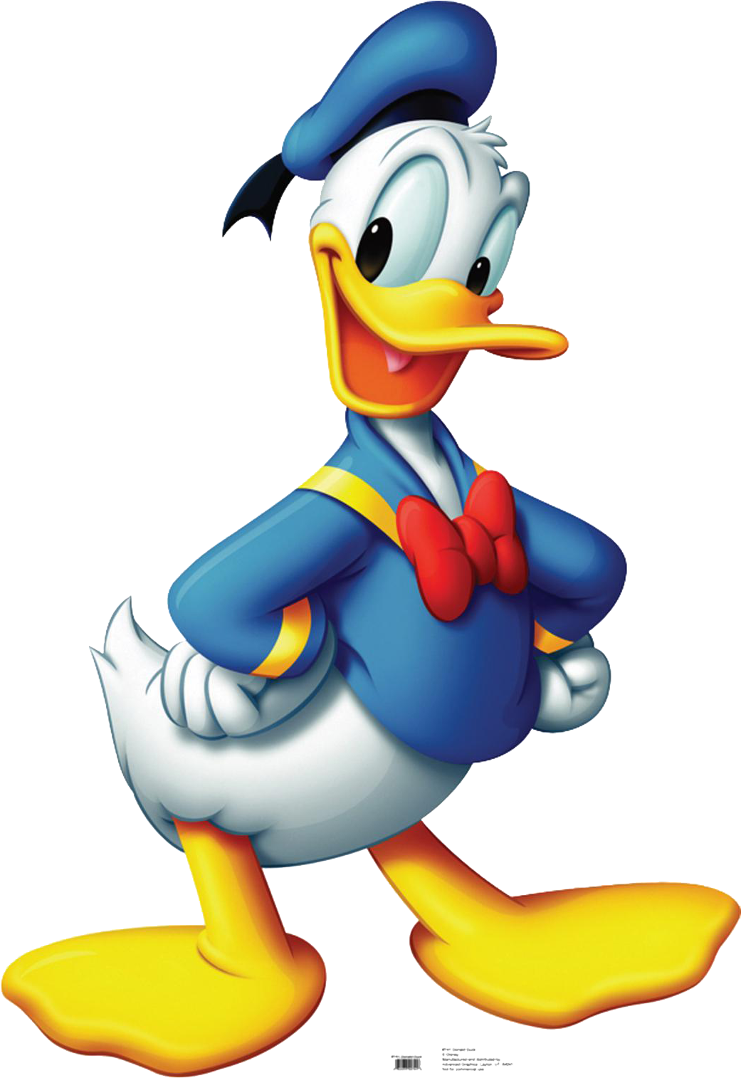 Sailor Duck Cartoon Character