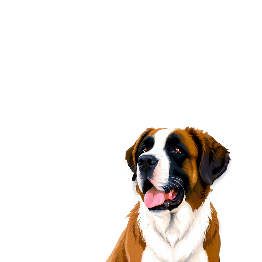 Saint Bernard C