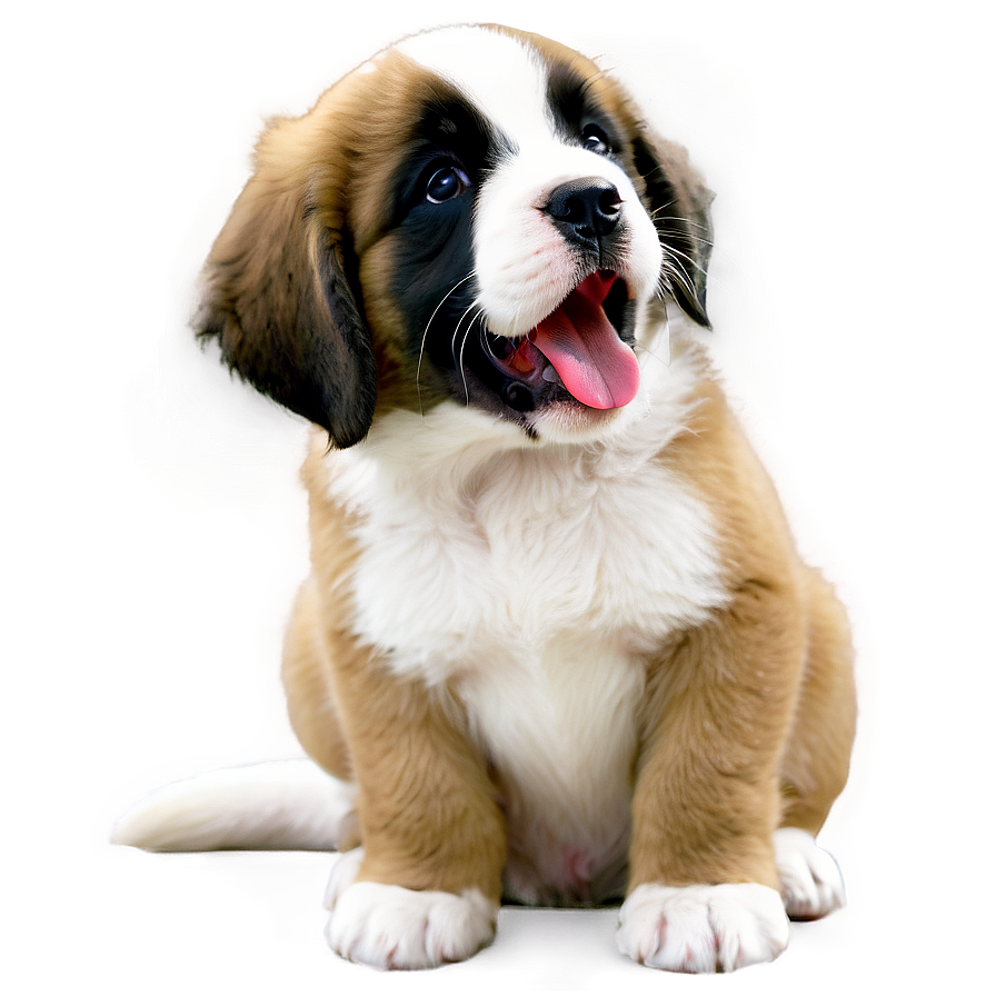 Saint Bernard Puppy Yawn Png Bpt4