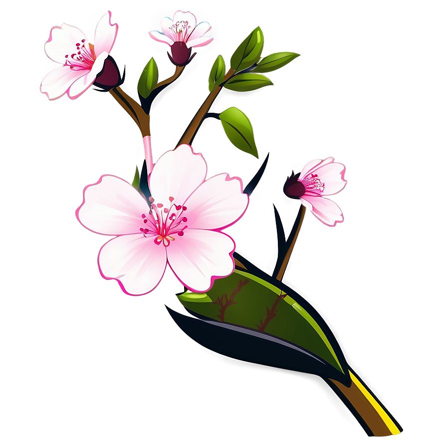 Sakura Flower Cartoon Png 06202024