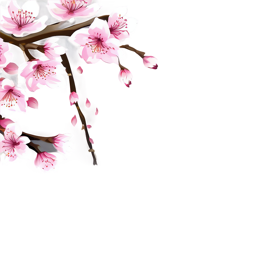 Sakura Flower Vector Png Blt28