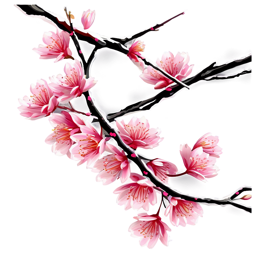 Sakura Tree Branch Close-up Png 82